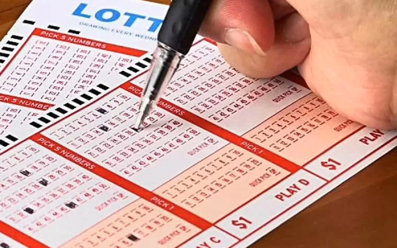 lottery sambad today result​ at DPBOSS featured image